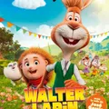 affiche walter lapin