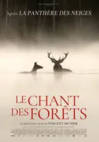 Affiche Le chant des forêts