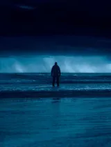 photo Anemone – les racines du mensonge