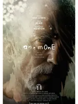 photo Anemone – les racines du mensonge