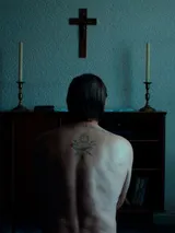 photo Anemone – les racines du mensonge