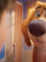 photo Biscuit le chien fantastique