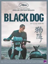 affiche black dog