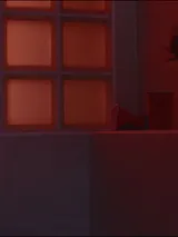 photo Dernière soirée