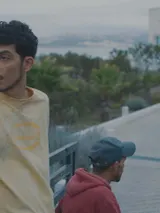 photo Derrière les palmiers