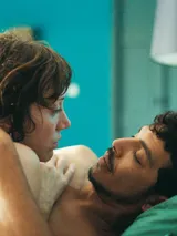 photo Derrière les palmiers