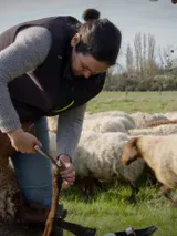 photo Droits dans leurs bottes