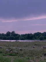 photo Droits dans leurs bottes