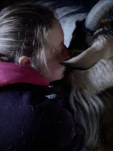 photo Droits dans leurs bottes