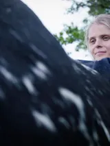 photo Droits dans leurs bottes