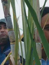 photo Histoires de la bonne vallée