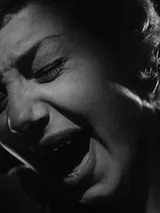 photo Le vampire noir