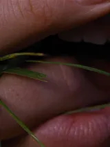 photo Les hauts de Hurlevent