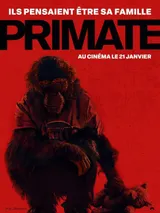 affiche primate
